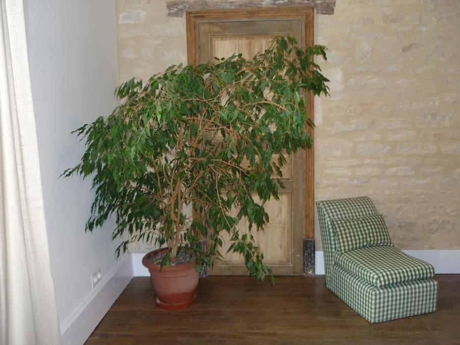Le Presbytere - Touillon, Jacuzzi, 4 Chambres Pour 10 Exterior foto